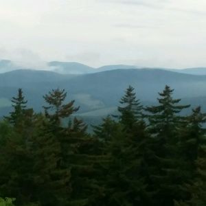 Meet your Posher, Penny